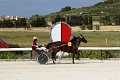 2015_Race 6 - 14